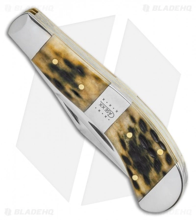 Case Cutlery Case Bose Saddlehorn Olive Green Peach Seed Jig Bone (TB62110 SS) - Image 2