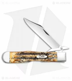 Case Cutlery Case Cheetah Pocket Knife 4.375" 6.5 BoneStag (6.5111 1/2L SS) 65319