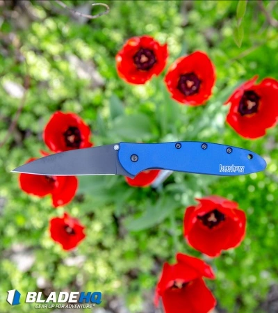 Kershaw Leek Assisted Opening Knife Blue (3" Black) 1660NBBLK - Image 8
