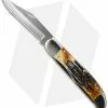 Case Cutlery Case Folding Hunter Knife 5.25" Bone Stag (6.5265 SS) 03574
