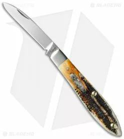 Case Cutlery Case Teardrop Jack Knife 3.5" Bone Stag (6.51028 SS) 65308