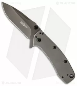 Kershaw Cryo II Assisted Opening Knife (3.25" Gray) 1556TI