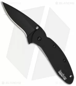 Kershaw Scallion Assisted Opening Knife Black (2.25" Black) 1620ALBLK