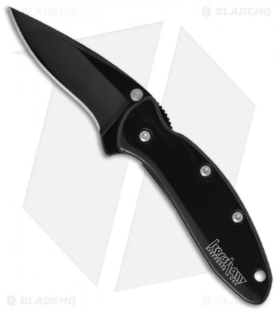 Kershaw Chive Assisted Opening Knife Black (1.94" Black) 1600BLK