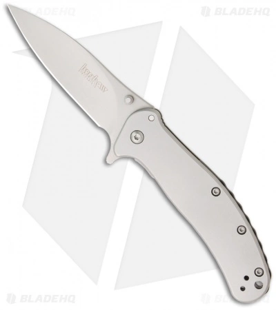 Kershaw Zing Assisted Opening Knife Stainless Steel (3" Bead Blast) 1730SS